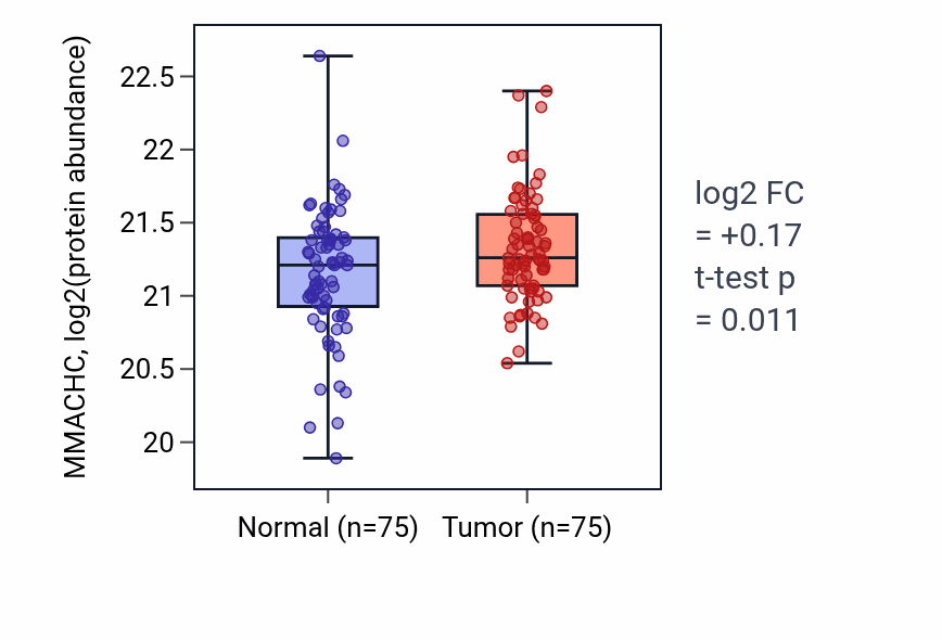 Tumor-vs-normal mass-spec protein box plot for MMACHC in LSCC.