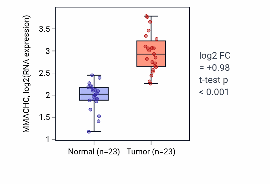 Tumor-vs-normal expression box plot for MMACHC RNA in LUAD.