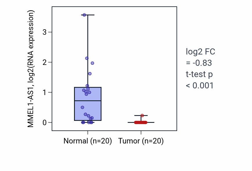 Tumor-vs-normal expression box plot for MMEL1-AS1 in KIRC.
