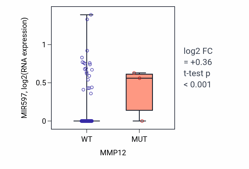 Box plot of MIR597 in MMP12-low vs MMP12-high samples in BLCA.