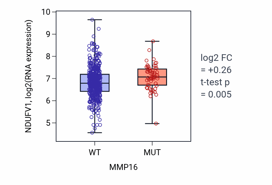 Box plot of NDUFV1 in MMP16-low vs MMP16-high samples in UCEC.
