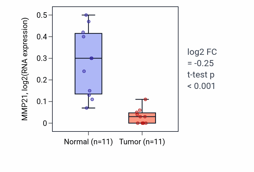 Tumor-vs-normal expression box plot for MMP21 RNA in KICH.