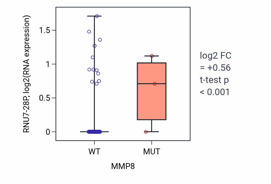 Box plot of RNU7-28P in MMP8-low vs MMP8-high samples in CESC.