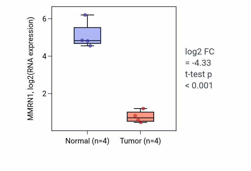 Tumor-vs-normal expression box plot for MMRN1 RNA in THCA.