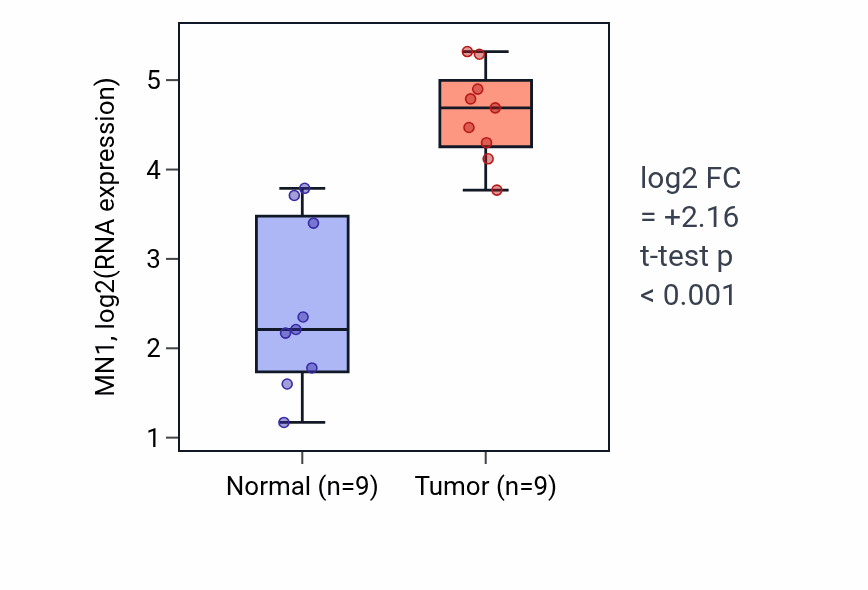 Tumor-vs-normal expression box plot for MN1 RNA in HNSC.