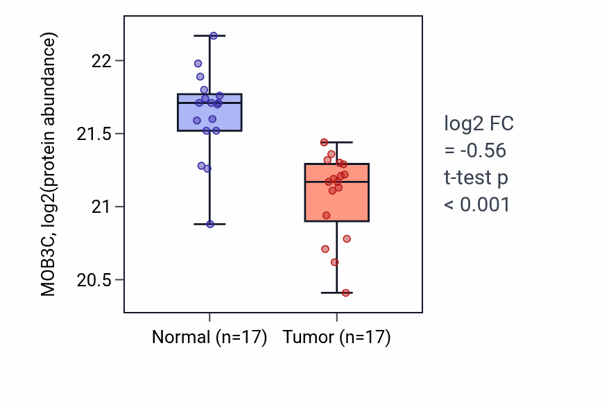 Tumor-vs-normal mass-spec protein box plot for MOB3C in LSCC.
