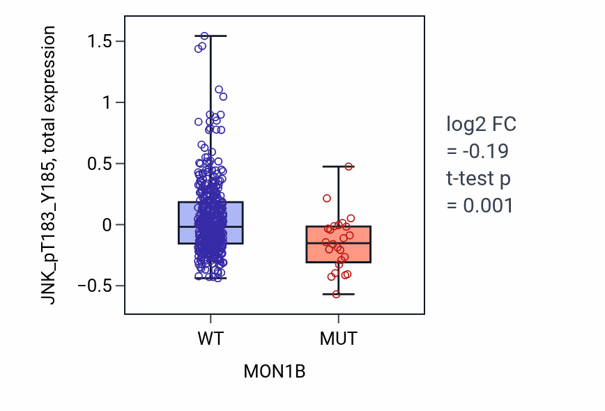Box plot of JNK_pT183_Y185 in MON1B-low vs MON1B-high samples in UCEC.