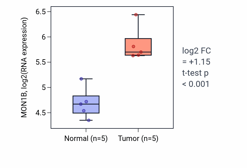 Tumor-vs-normal expression box plot for MON1B RNA in KIRP.
