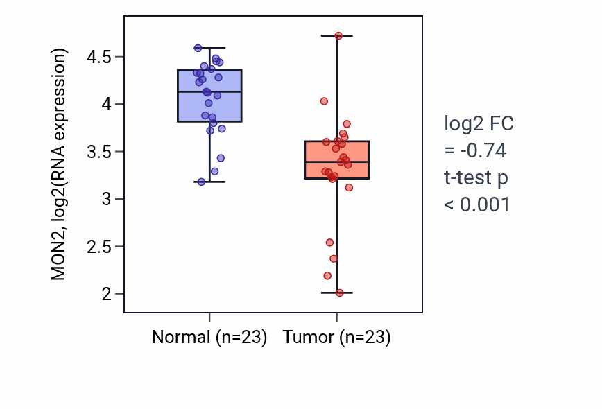 Tumor-vs-normal expression box plot for MON2 RNA in THCA.