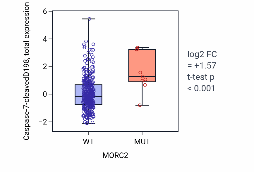 Box plot of Caspase-7-cleavedD198 in MORC2-low vs MORC2-high samples in COAD.