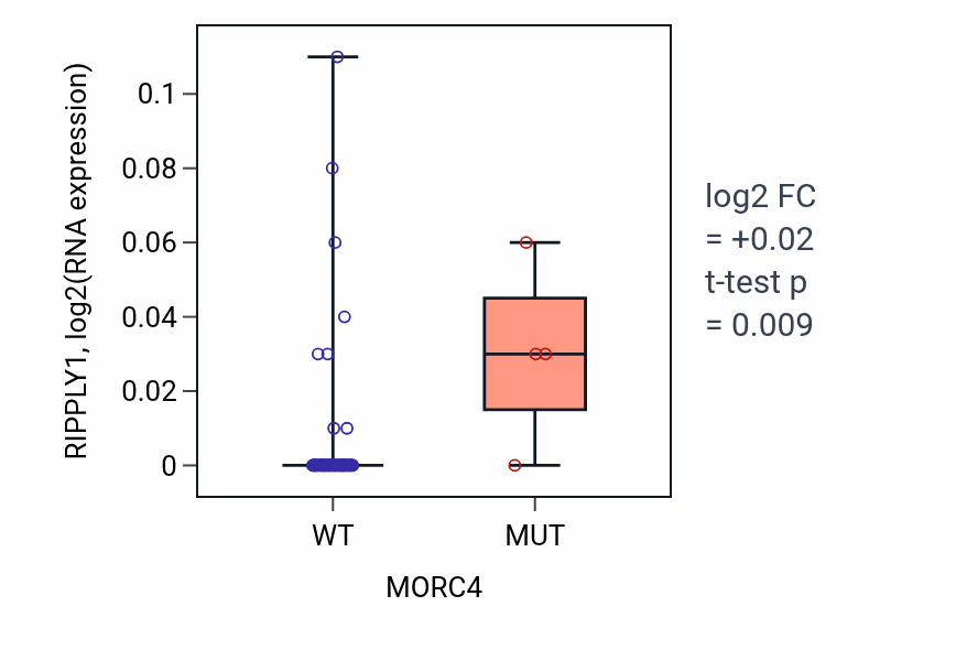 Box plot of RIPPLY1 in MORC4-low vs MORC4-high samples in BLOOD_Lymphoma.