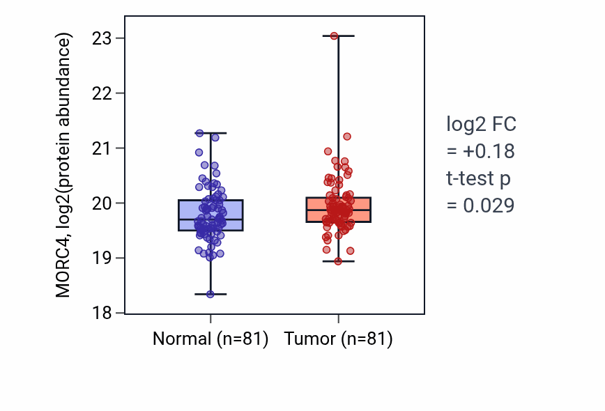 Tumor-vs-normal mass-spec protein box plot for MORC4 in LSCC.