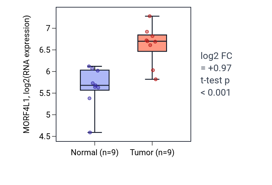 Tumor-vs-normal expression box plot for MORF4L1 in HNSC.