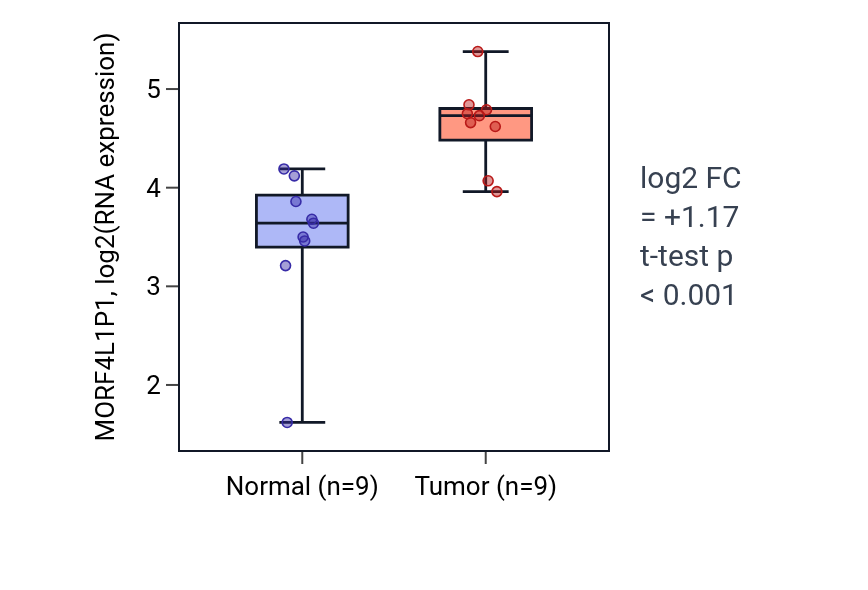 Tumor-vs-normal expression box plot for MORF4L1P1 in HNSC.