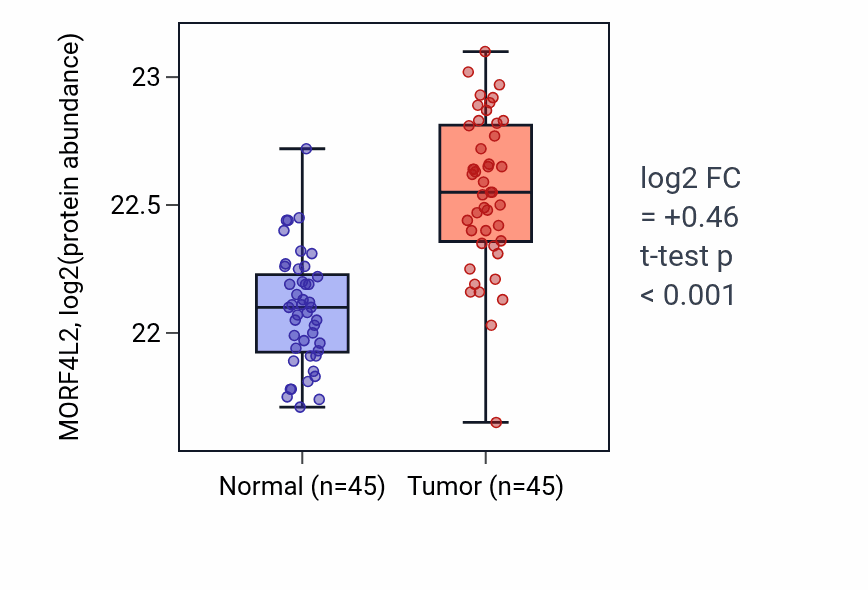 Tumor-vs-normal mass-spec protein box plot for MORF4L2 in HNSC.