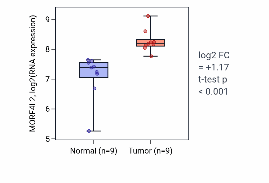 Tumor-vs-normal expression box plot for MORF4L2 RNA in HNSC.