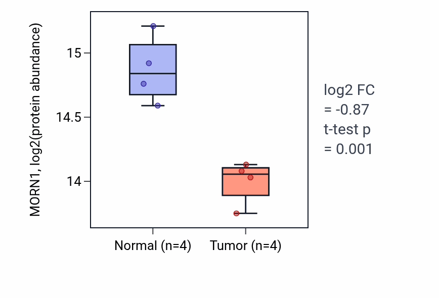 Tumor-vs-normal mass-spec protein box plot for MORN1 in LUAD.