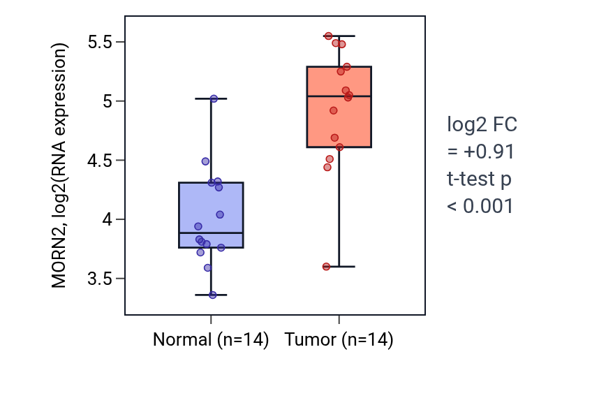 Tumor-vs-normal expression box plot for MORN2 in BLCA.