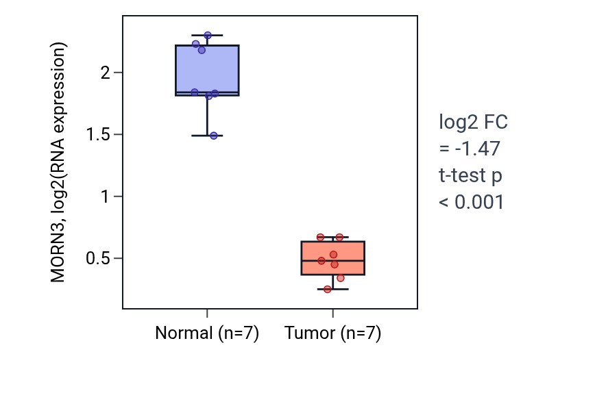 Tumor-vs-normal expression box plot for MORN3 in KICH.