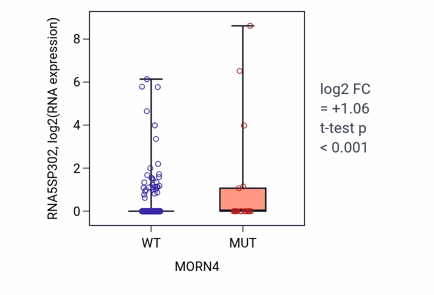 Box plot of RNA5SP302 in MORN4-low vs MORN4-high samples in UCEC.