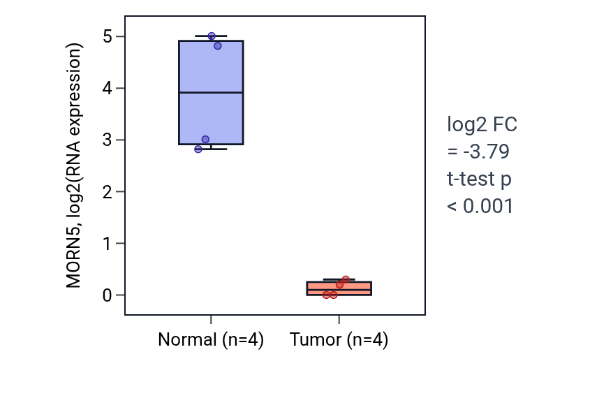 Tumor-vs-normal expression box plot for MORN5 in BLCA.