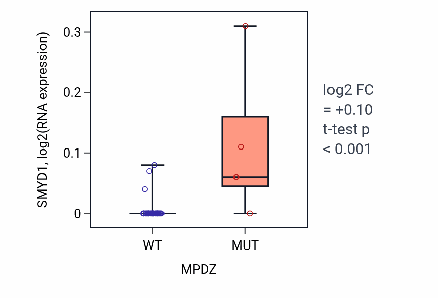 Box plot of SMYD1 in MPDZ-low vs MPDZ-high samples in KIDNEY.
