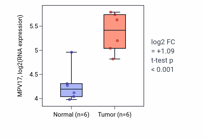 Tumor-vs-normal expression box plot for MPV17 RNA in KIRC.