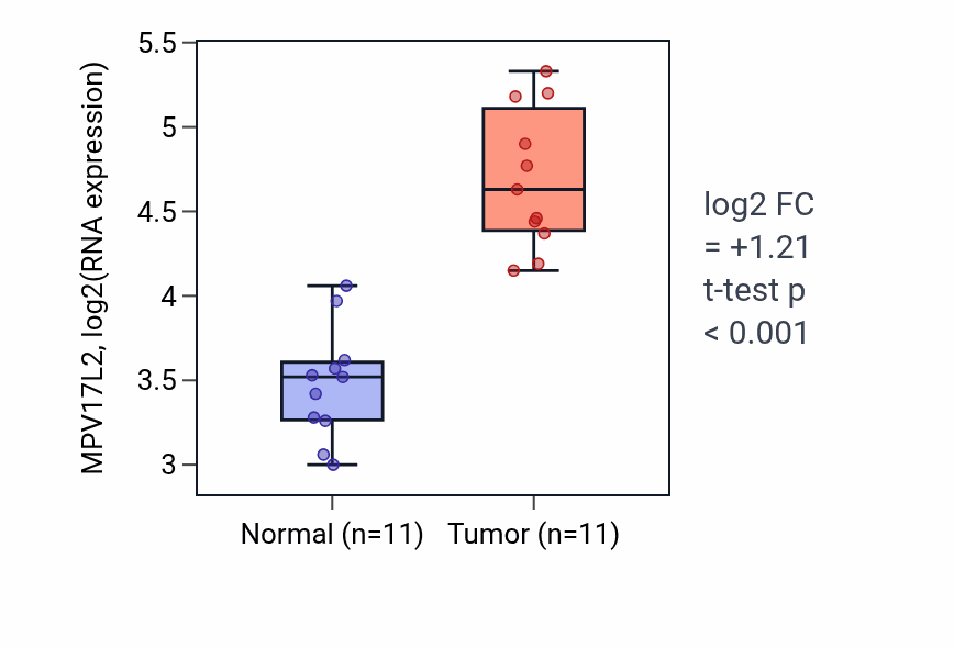 Tumor-vs-normal expression box plot for MPV17L2 RNA in HNSC.