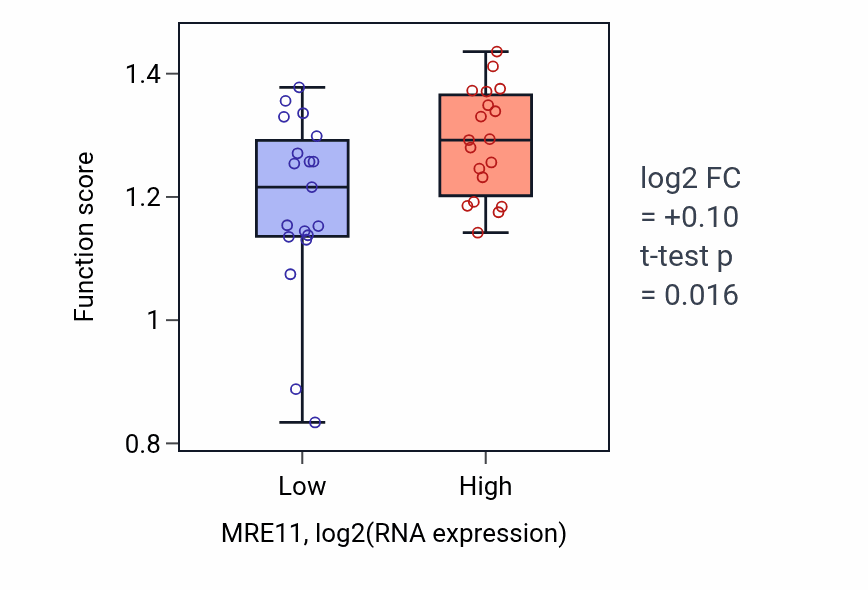Box plot of DNA strand elongation in MRE11-low vs MRE11-high samples in BONE.