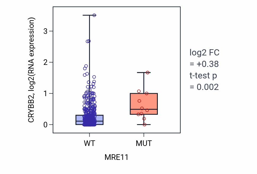 Box plot of CRYBB2 in MRE11-low vs MRE11-high samples in SKCM.