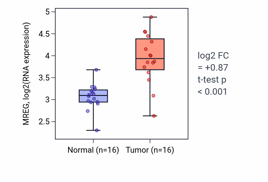 Tumor-vs-normal expression box plot for MREG RNA in THCA.