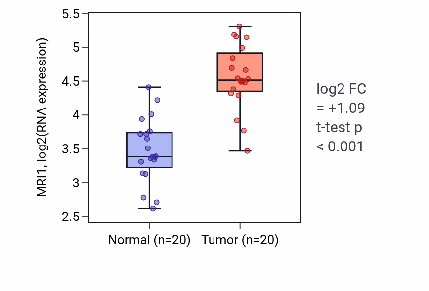 Tumor-vs-normal expression box plot for MRI1 RNA in COAD.
