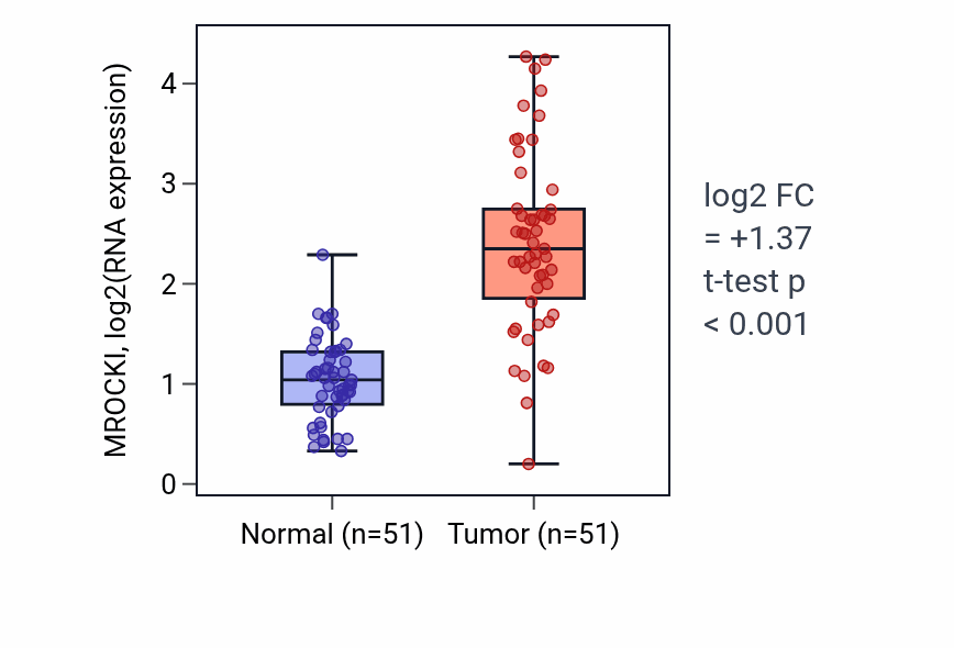 Tumor-vs-normal expression box plot for MROCKI in KIRC.