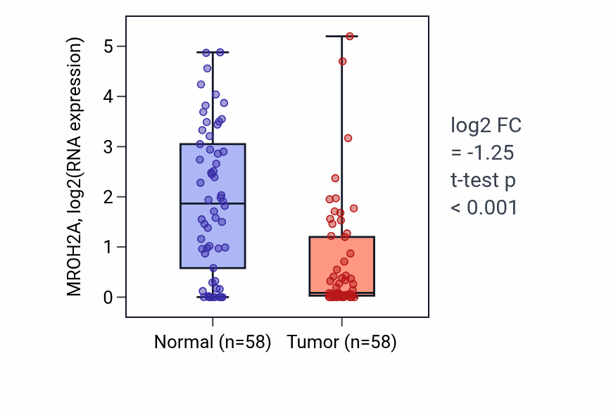 Tumor-vs-normal expression box plot for MROH2A in THCA.