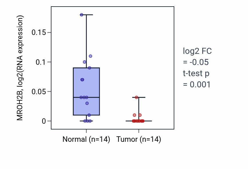 Tumor-vs-normal expression box plot for MROH2B in BLCA.