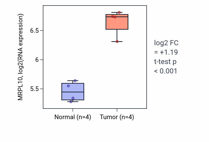 Tumor-vs-normal expression box plot for MRPL10 RNA in KIRP.