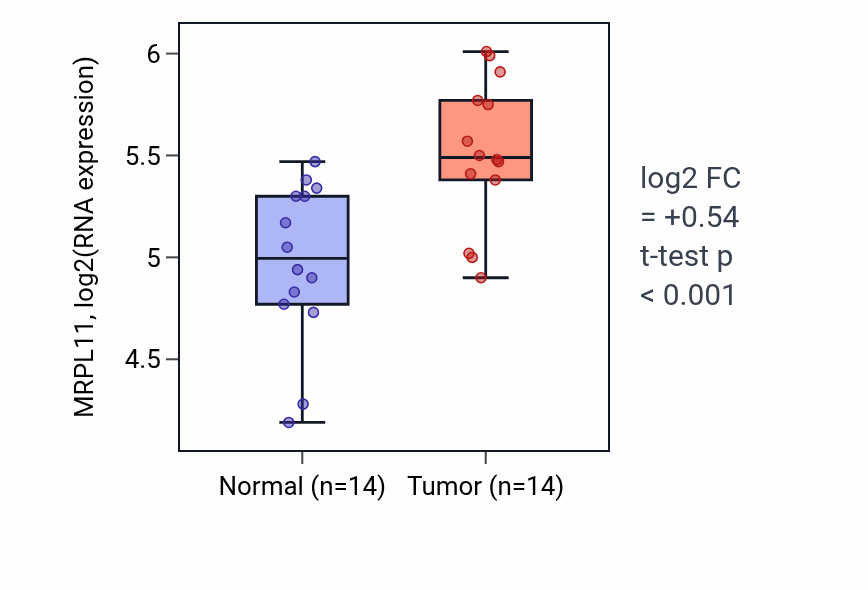 Tumor-vs-normal expression box plot for MRPL11 RNA in KIRC.