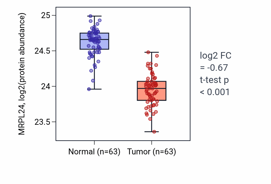 Tumor-vs-normal mass-spec protein box plot for MRPL24 in CCRCC.