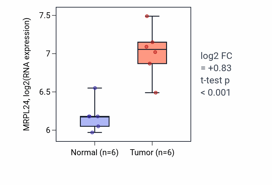 Tumor-vs-normal expression box plot for MRPL24 RNA in KIRC.