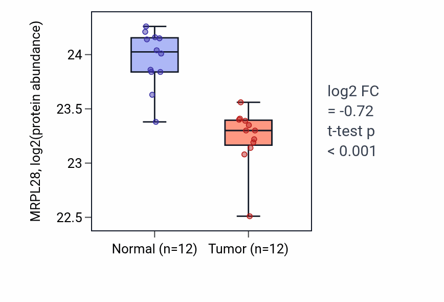Tumor-vs-normal mass-spec protein box plot for MRPL28 in CCRCC.