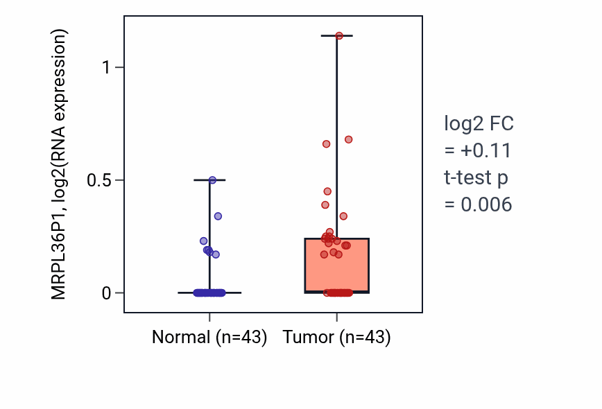 Tumor-vs-normal expression box plot for MRPL36P1 in HNSC.