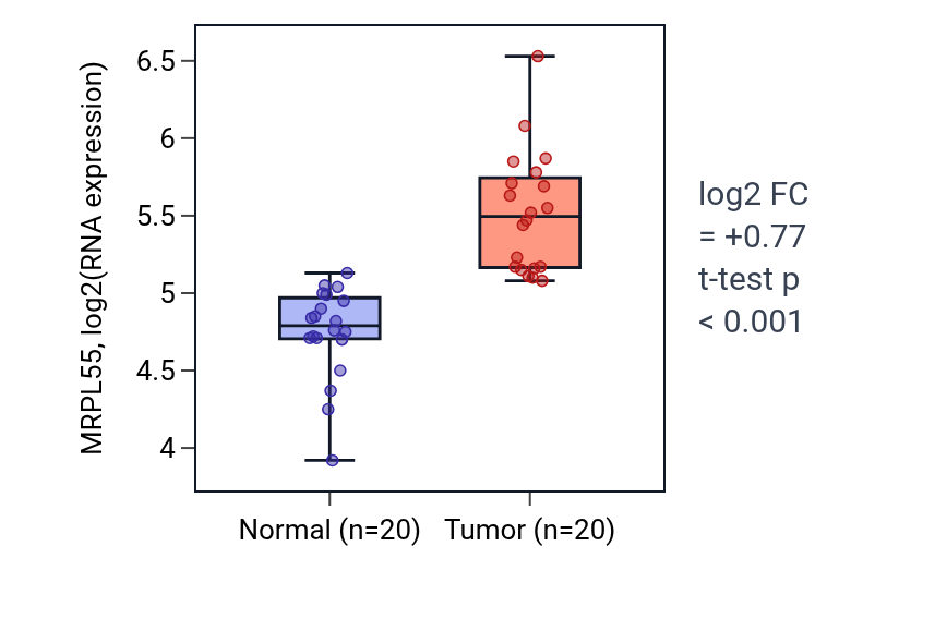 Tumor-vs-normal expression box plot for MRPL55 in KIRC.