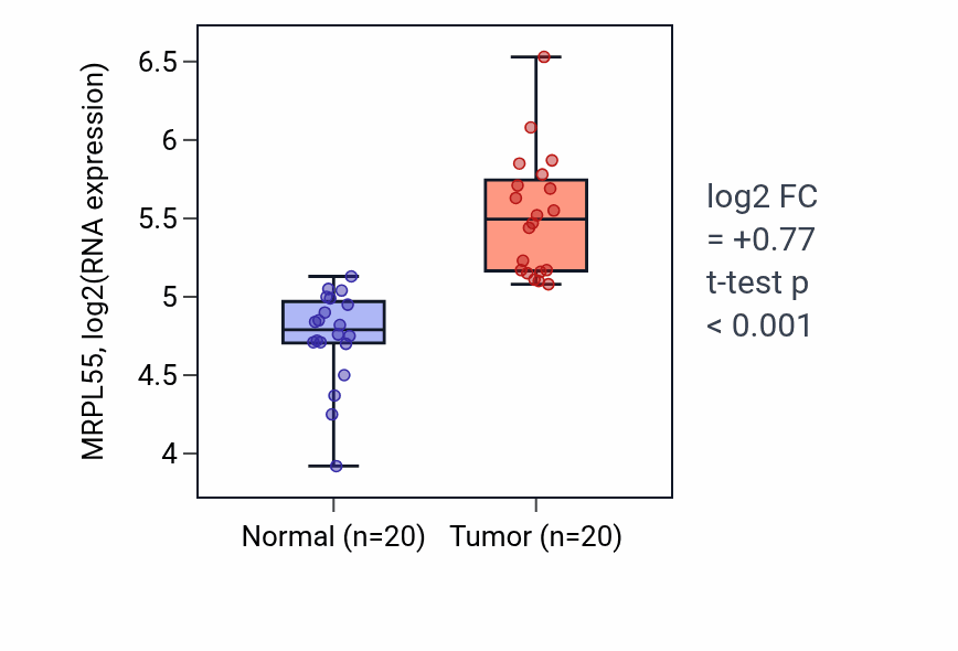 Tumor-vs-normal expression box plot for MRPL55 RNA in KIRC.
