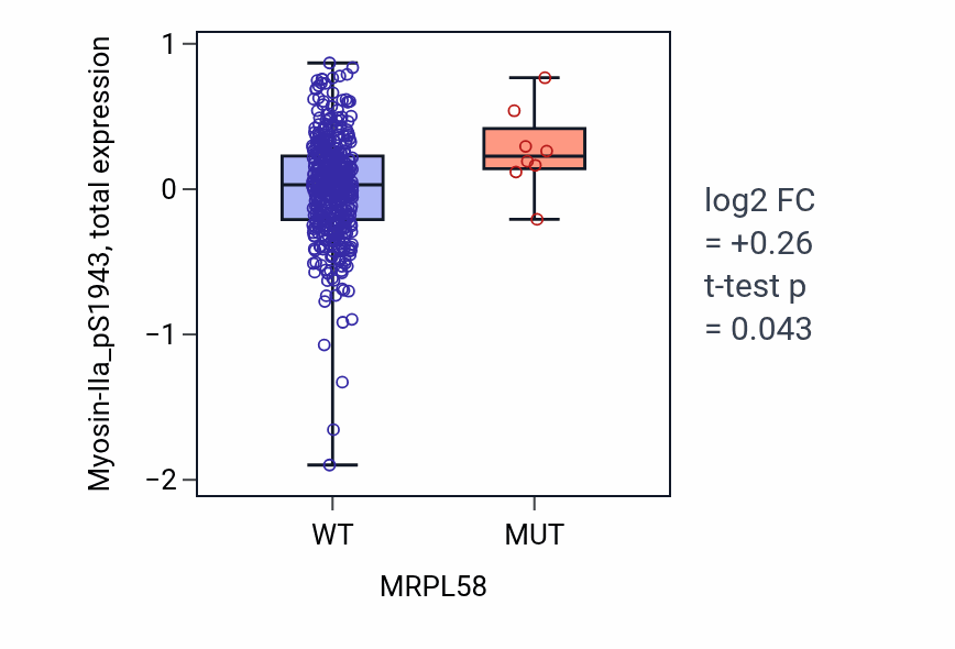 Box plot of Myosin-IIa_pS1943 in MRPL58-low vs MRPL58-high samples in UCEC.