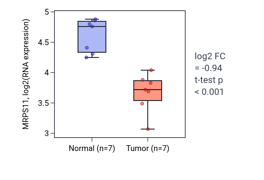 Tumor-vs-normal expression box plot for MRPS11 in THCA.