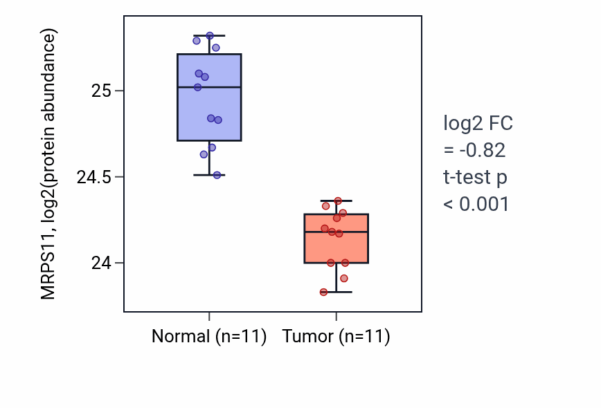 Tumor-vs-normal mass-spec protein box plot for MRPS11 in CCRCC.