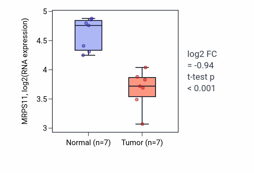 Tumor-vs-normal expression box plot for MRPS11 RNA in THCA.