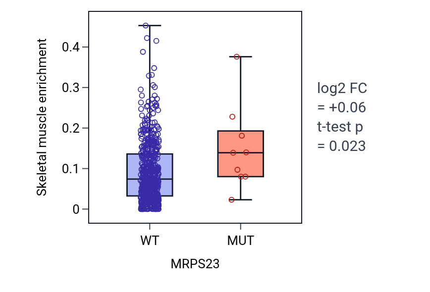 Box plot of Skeletal muscle in MRPS23-low vs MRPS23-high samples in UCEC.