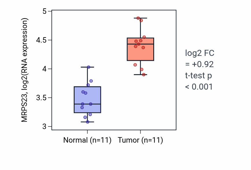 Tumor-vs-normal expression box plot for MRPS23 RNA in HNSC.