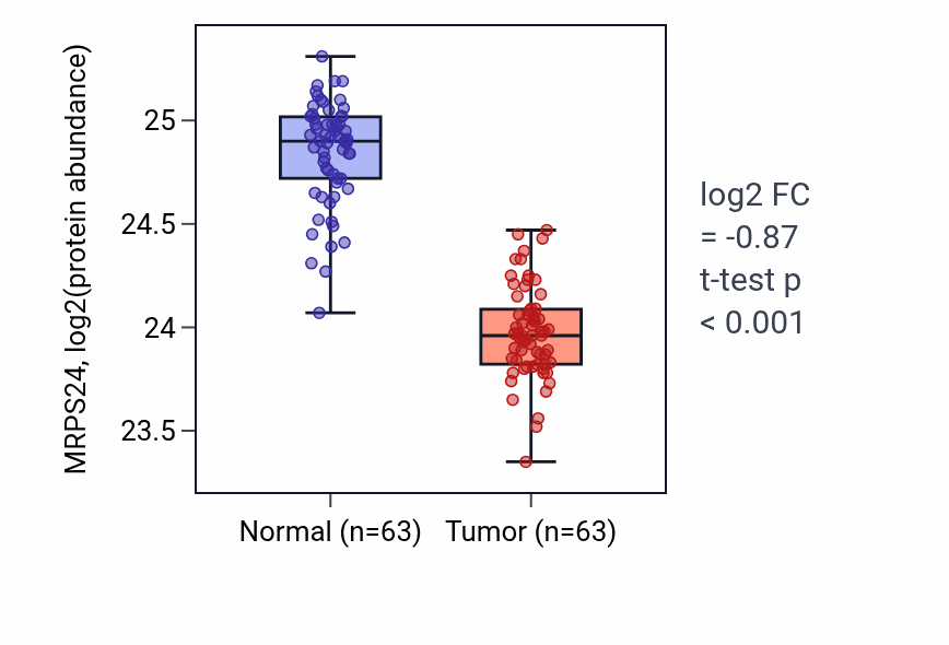 Tumor-vs-normal mass-spec protein box plot for MRPS24 in CCRCC.